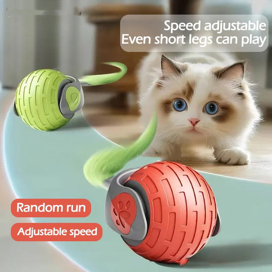 New Interactive Cat Toys Ball Auto Electric Rolling Ball Toys For Cat Kitty Pets Smart Automatic Teaser USB Rechargeable Cat Toy Pet Products Naseer Liaqat